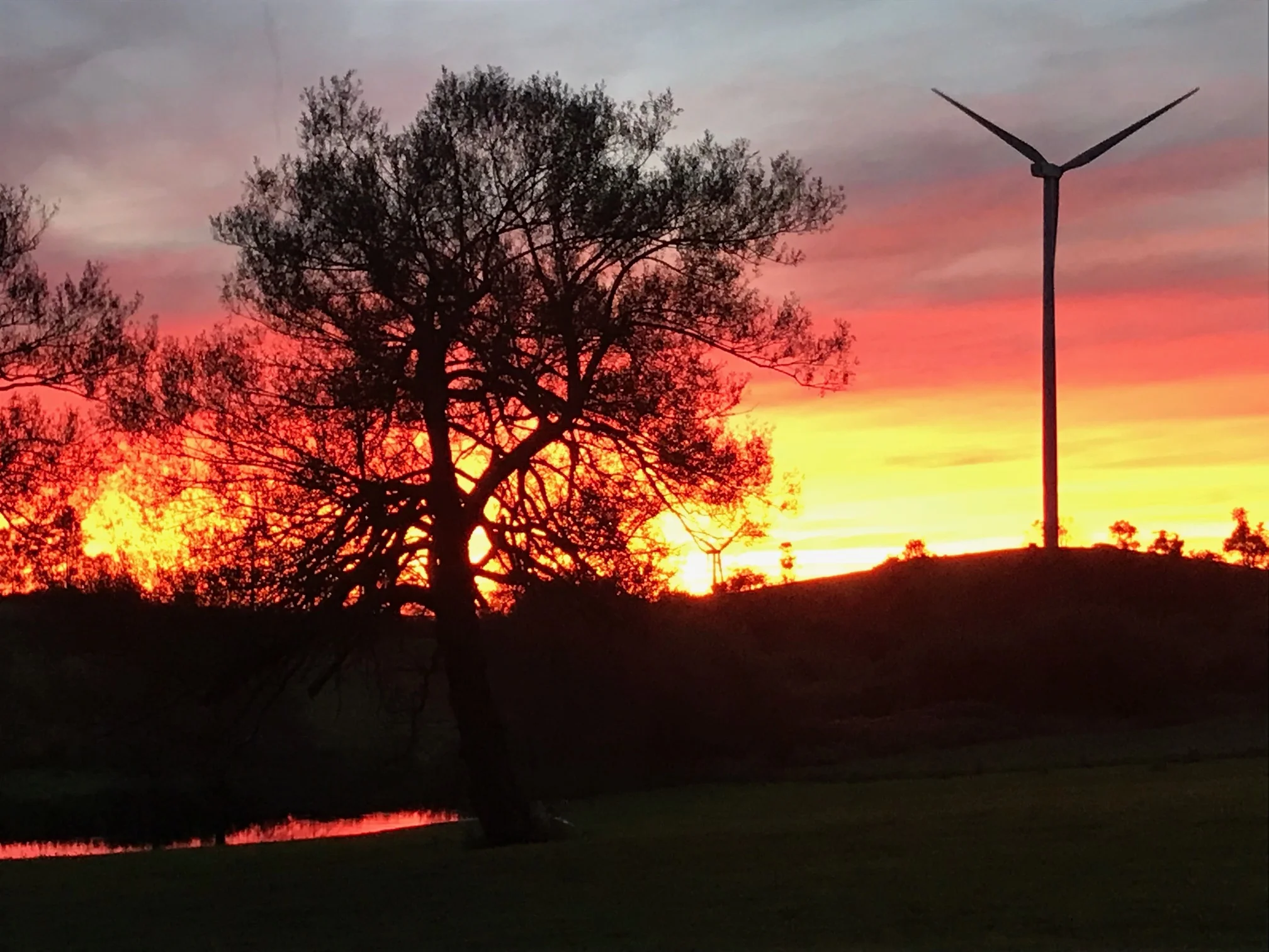 Sunset looking toward the pond and windmills