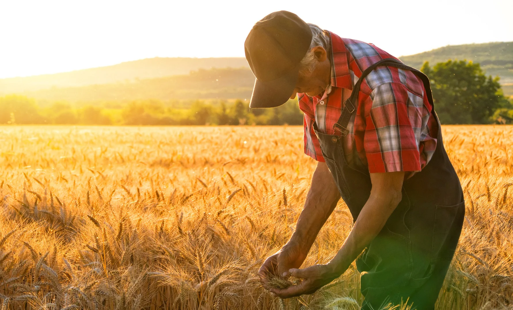 Farmer.jpg