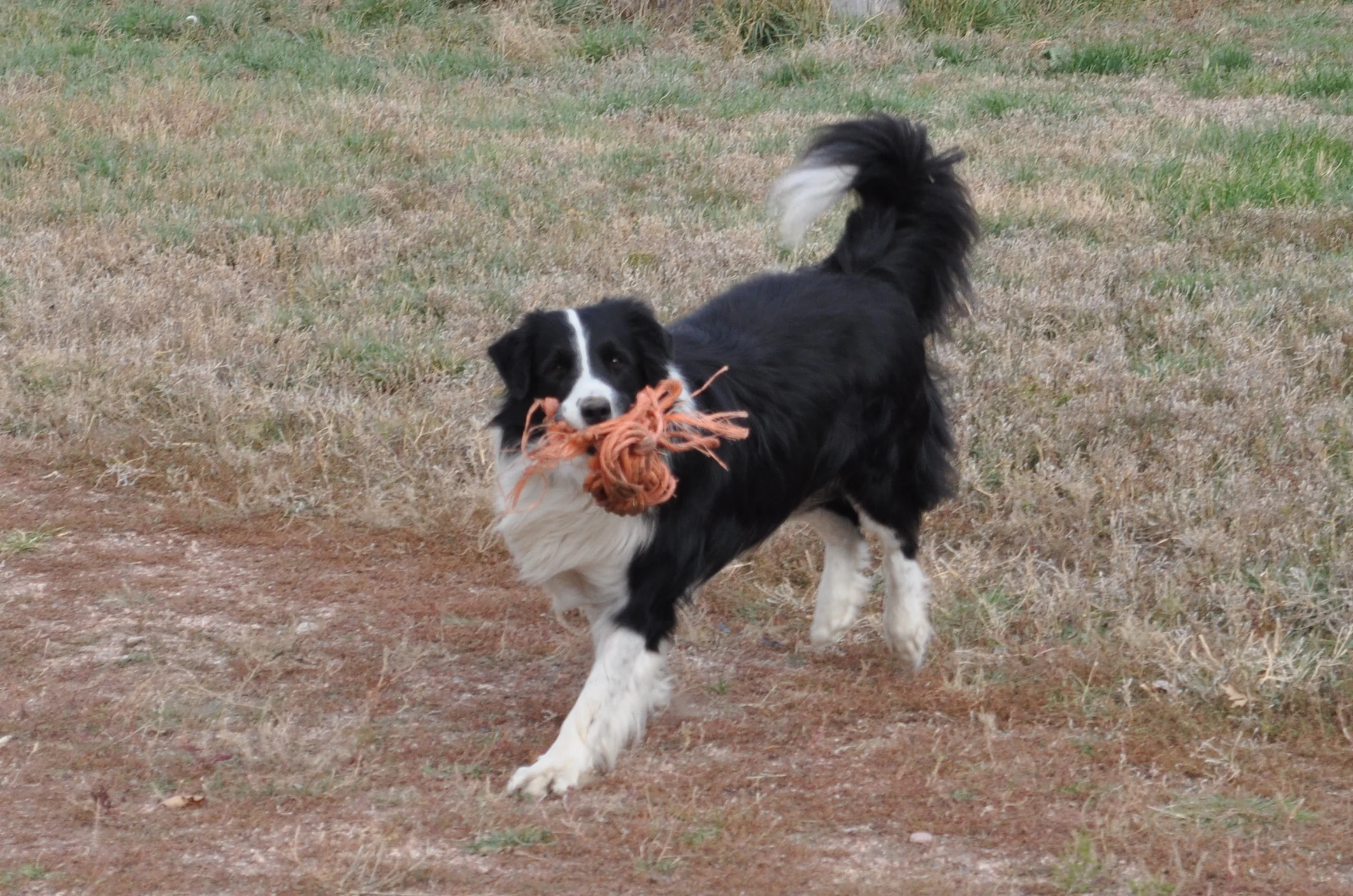 dsc_2062.jpg