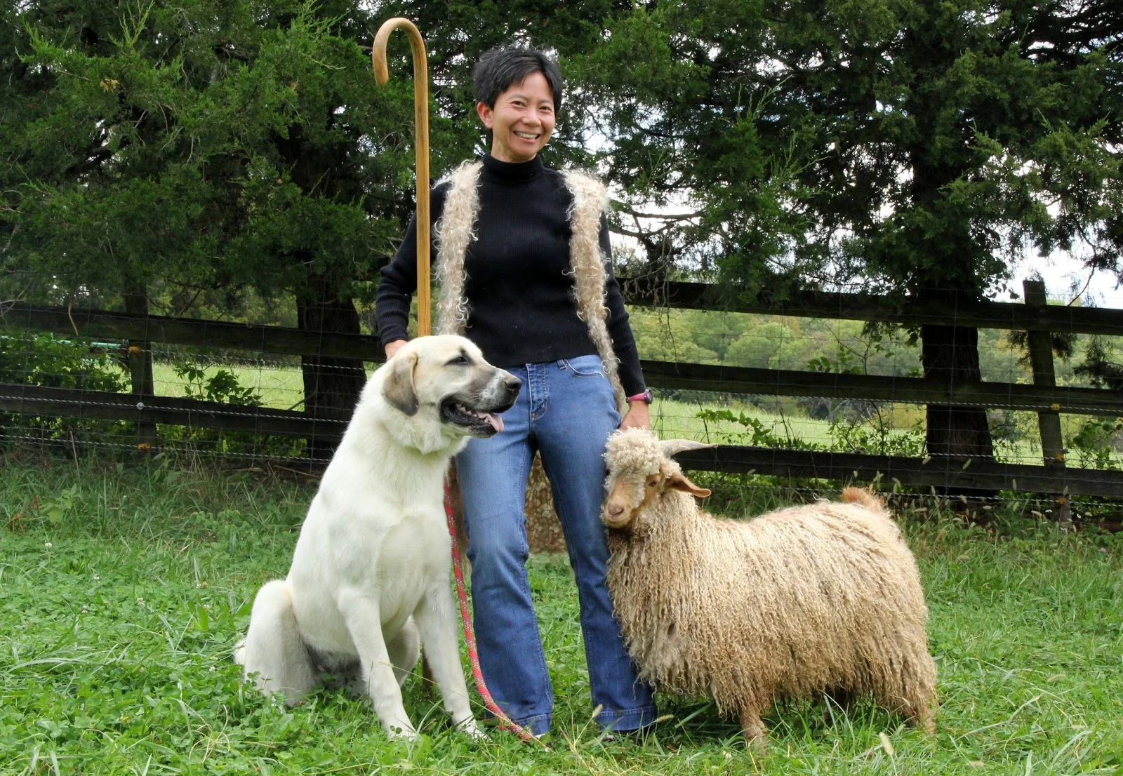 Rosalie FB front page.JPG