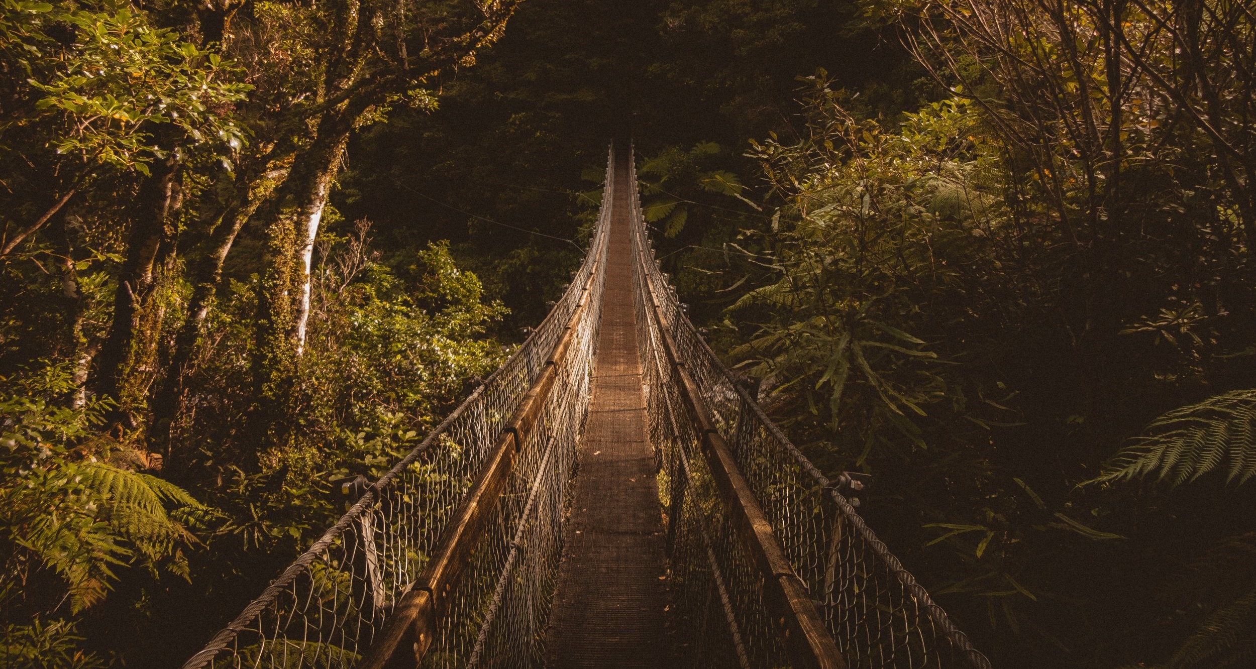 Wooden+Drawbridge.jpg