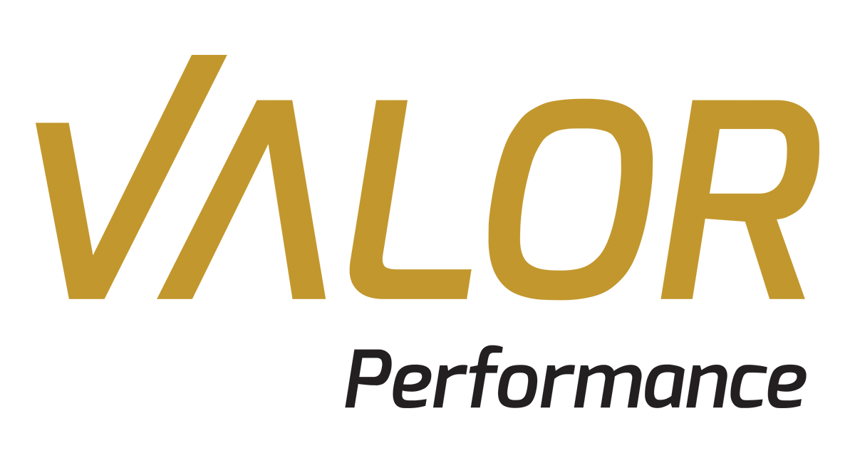 Valor Performance.png