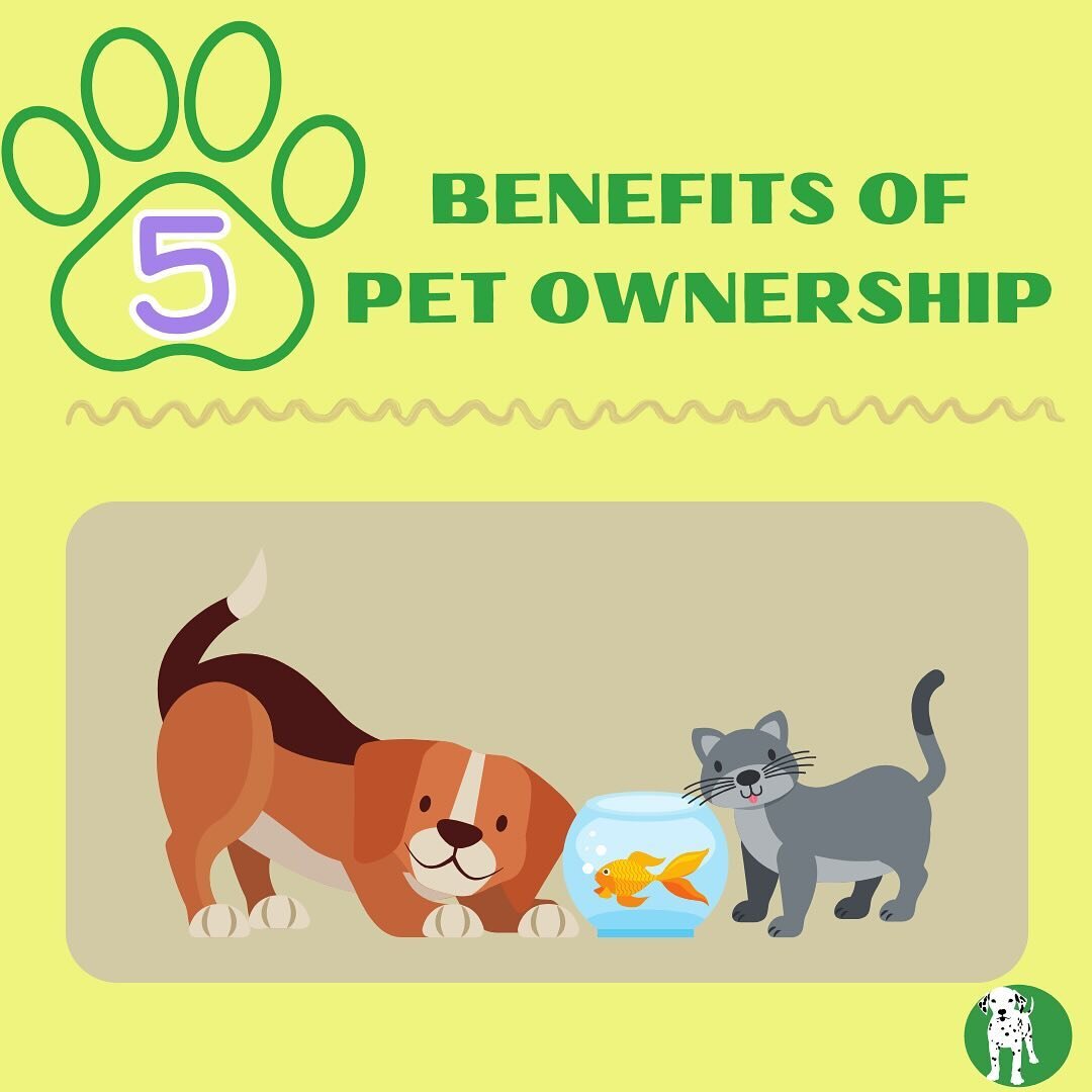 SCIENCE SUNDAY✨
We love our furry friends for their cute photos, funny personalities and the way they become our family🐾💚
But did you know, there is scientific proof that owning a pet can have many benefits that can even make us live longer? Check 