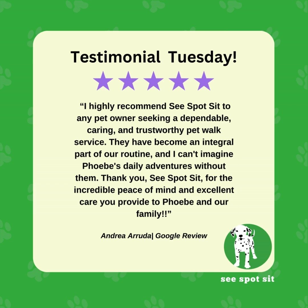 TESTIMONIAL TUESDAY ✨
With over 125 FIVE STAR reviews, this review captures what we do best here at See Spot Sit! So thankful for these kind words and our clients, y'all keep us going 💚
Here is Phoebe, one of the sweetest and spunkiest girls in our 