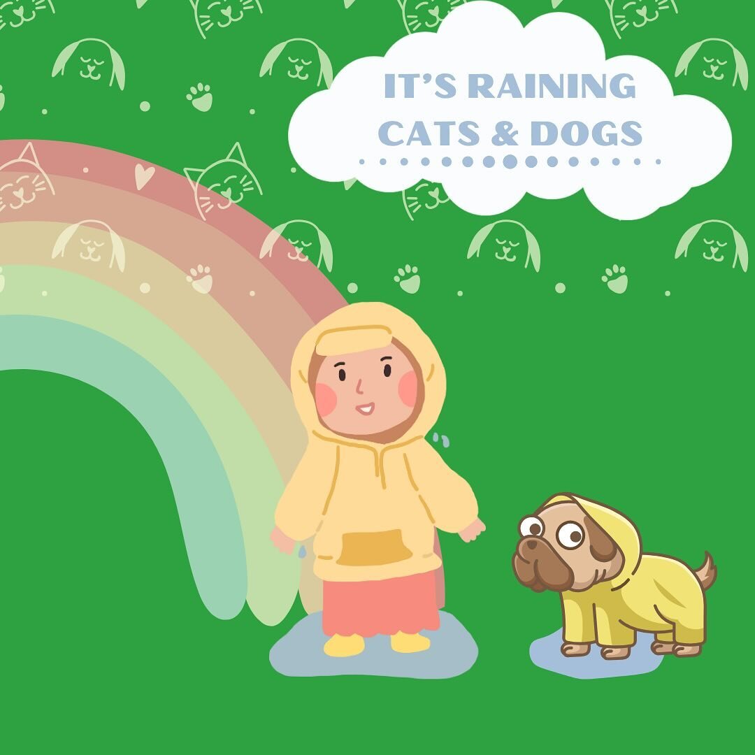 RAINY DAYS ✨
Not sure where to start on walking your furry friend in the rain? Here are some easy tips to make sure you and your doggo have a relaxed walk in the elements! ☔️🐾
1. CHECK WEATHER. If you can avoid a torrential downpour, then do it! Tak