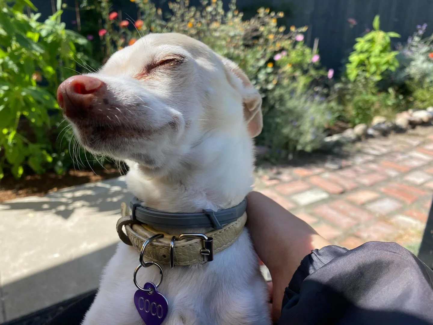 Those weekend vibes. 😎