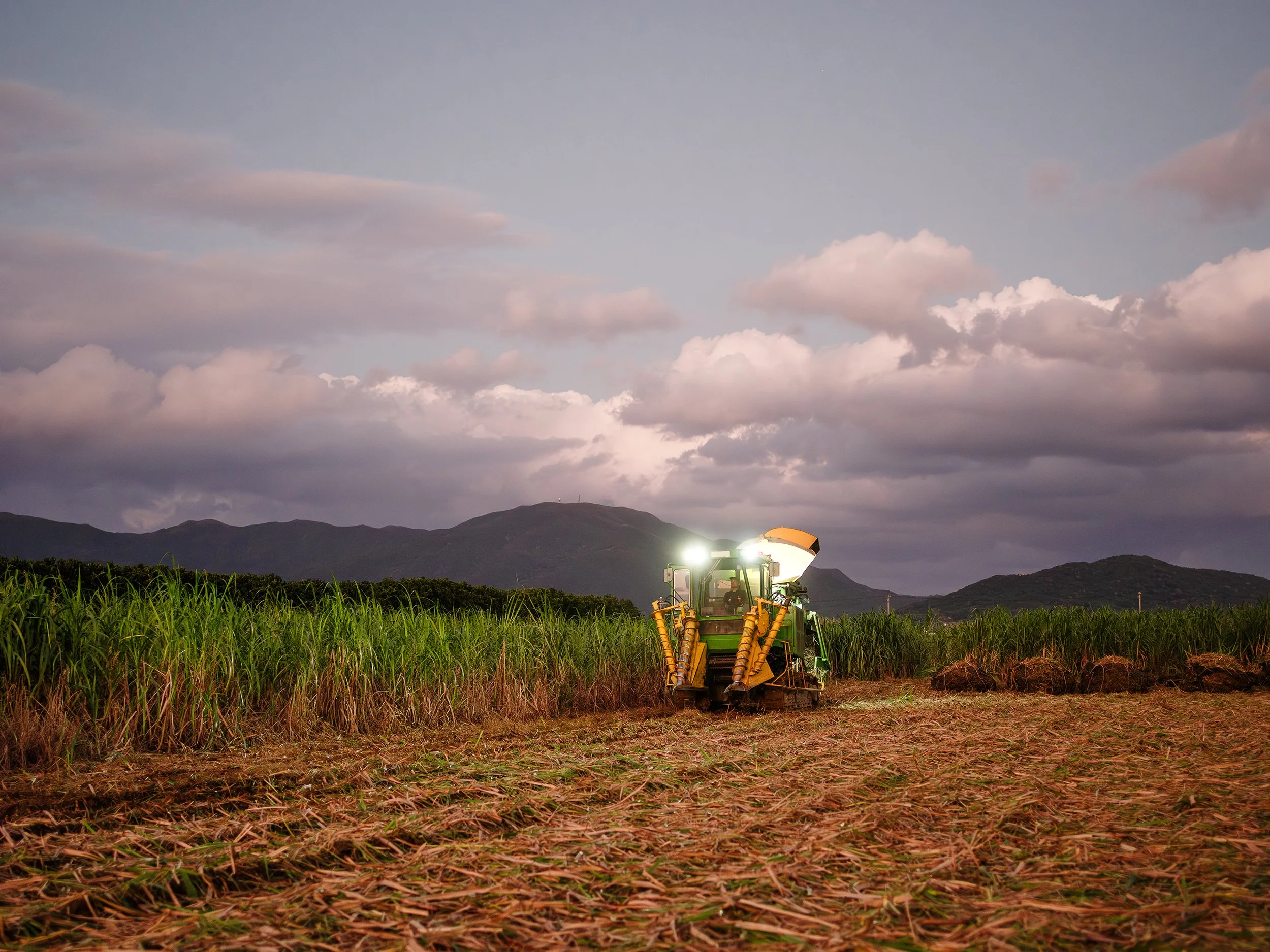 Schultz A1 Photo Rag Matte Sugarcane Harvest copy.jpg