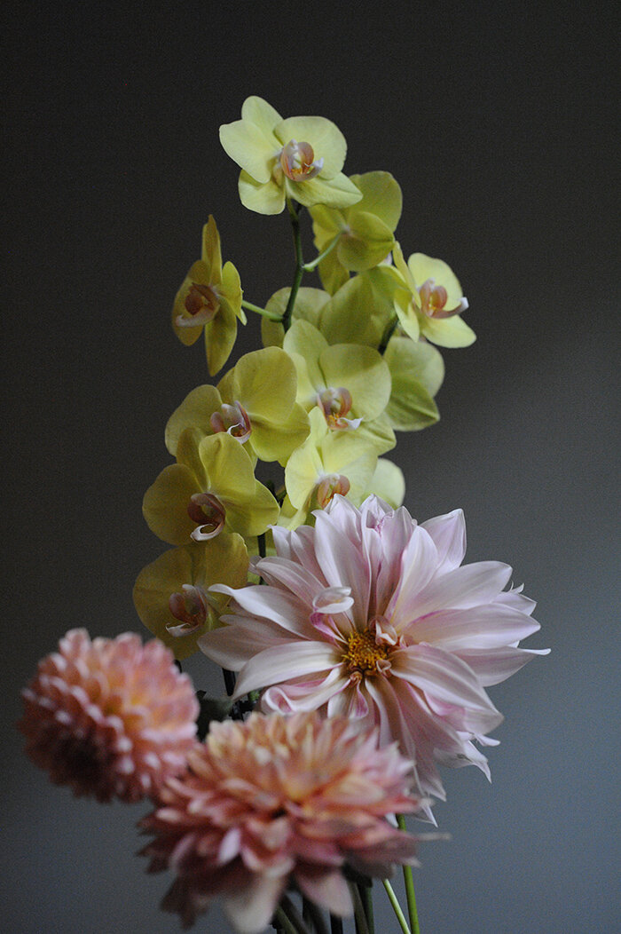 2020 Sept orchid dahlia stack RESIZE.jpg