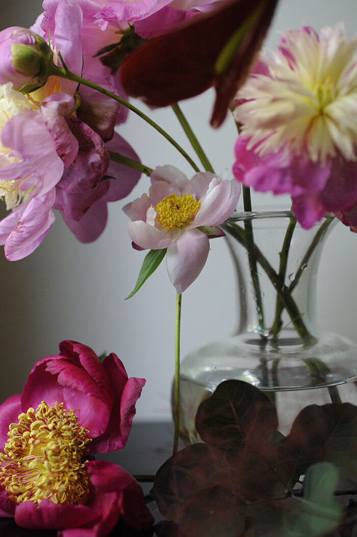 2020 June centrifuge peony RESIZE.jpg