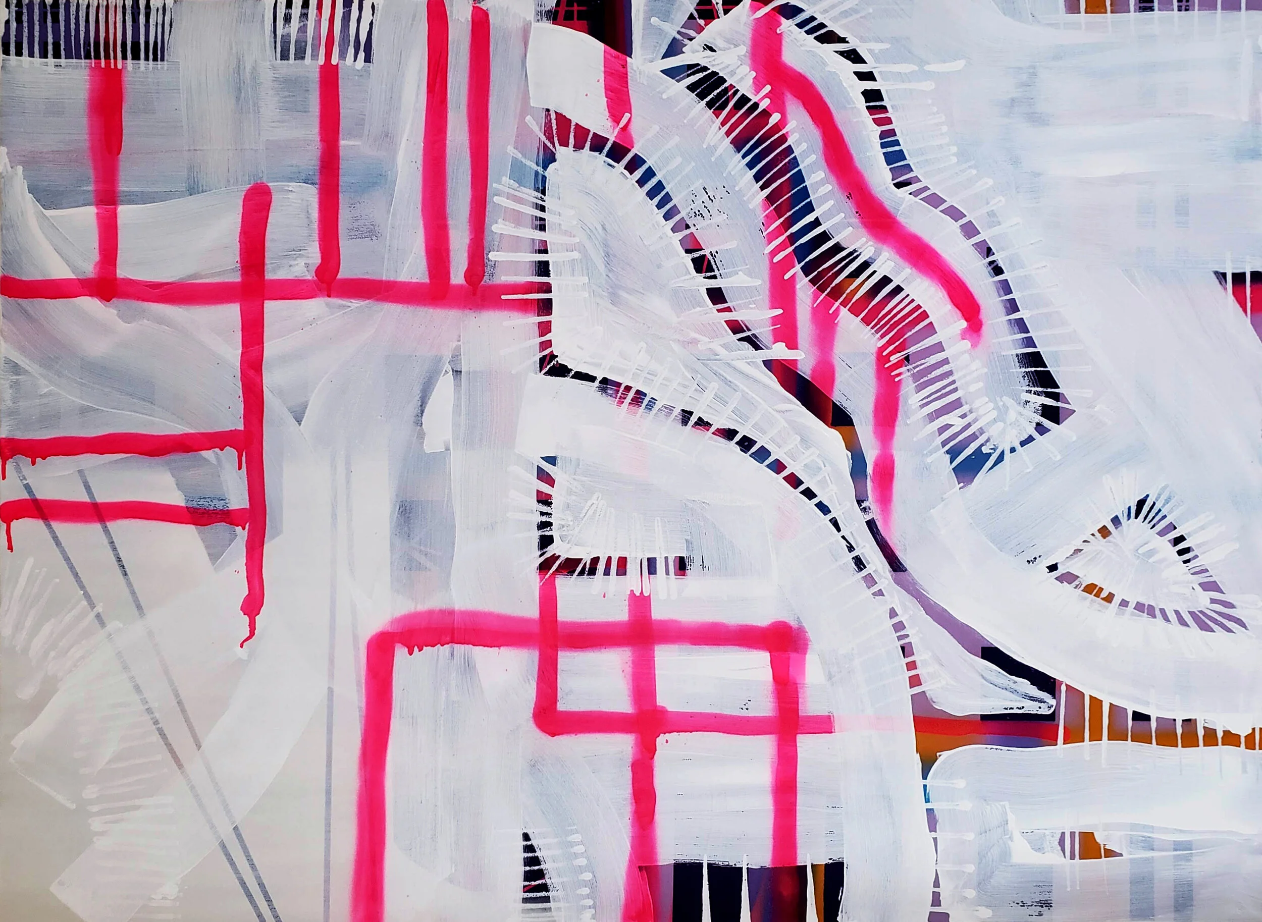 Copy of Phyllodesmiuim Poindimiei