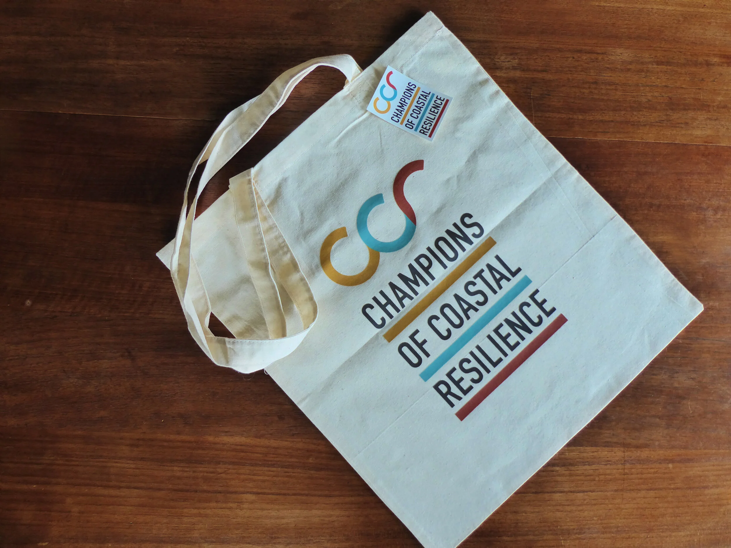 CCR-bag1.jpg