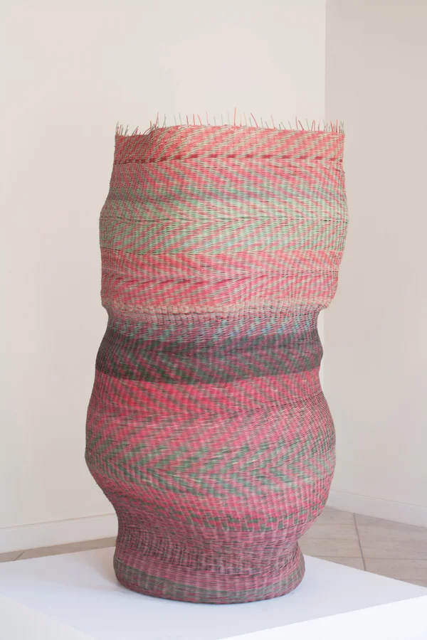 O.T. ( OP ), 2014 Peddigrohr, Ratan