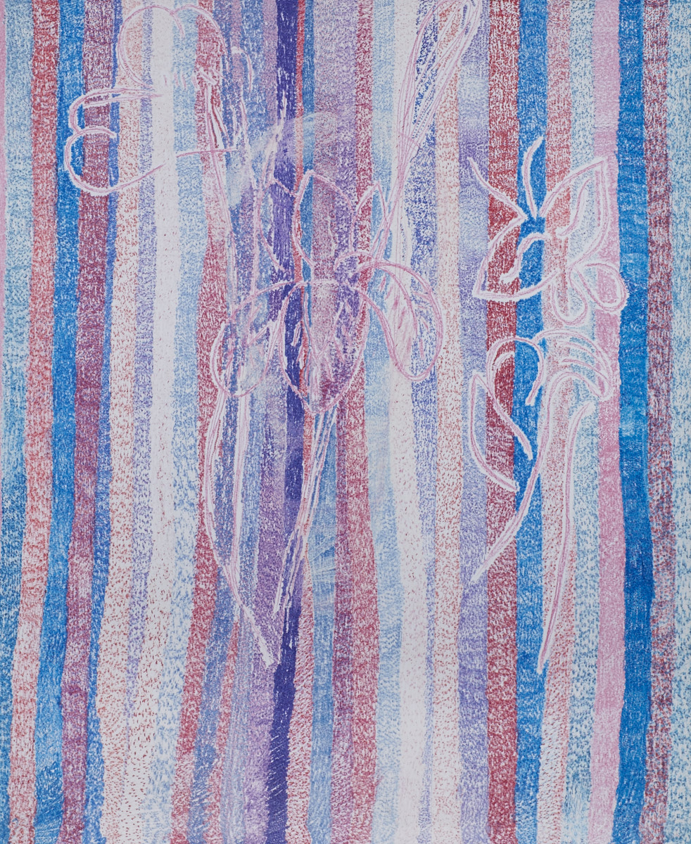  O.T. ( Shunga Flowers ), 2017  Buntstift Papier, 260x200cm 