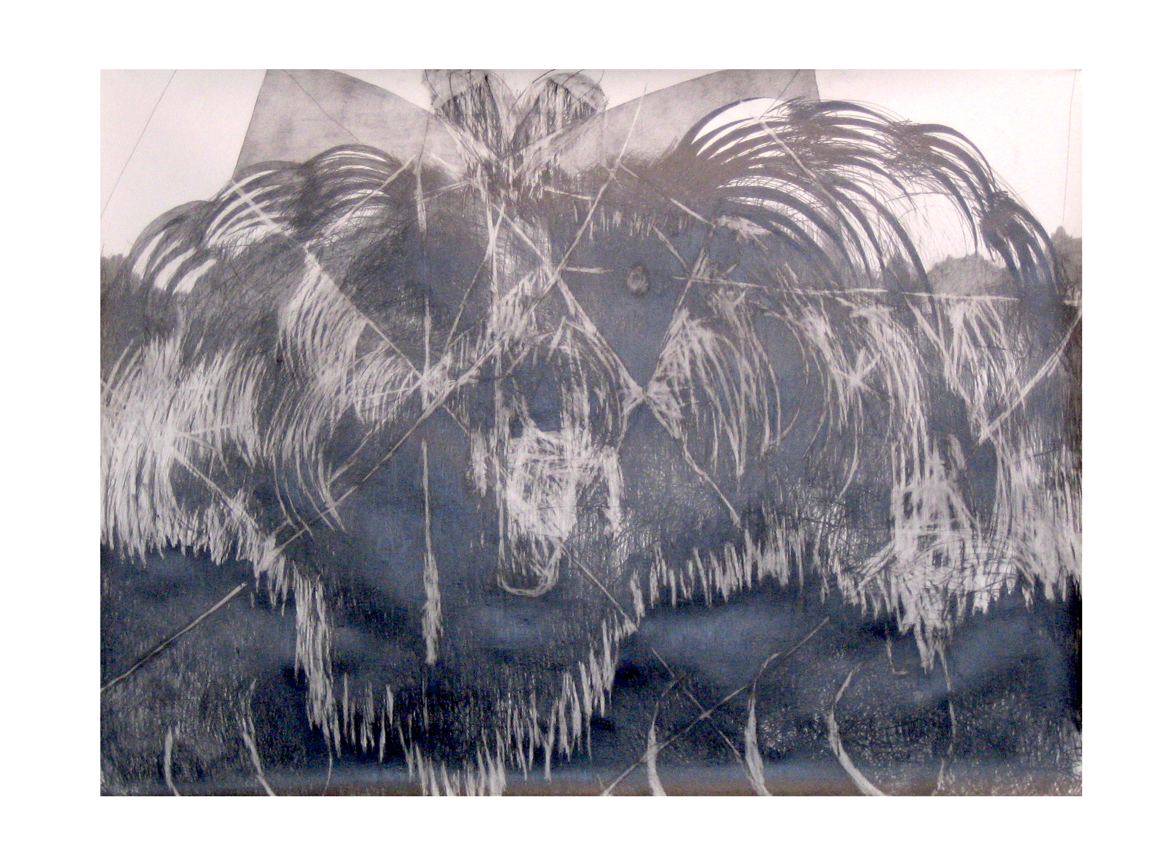 O.T. ( Bärin ), 2004 Bleistift Papier, 150x200cm
