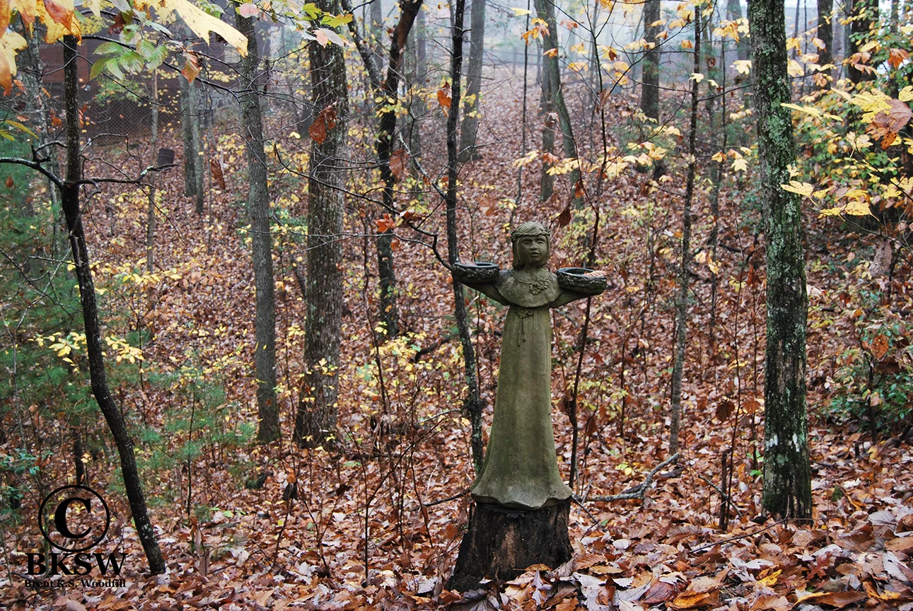 Angel on Cherry Log Mountain