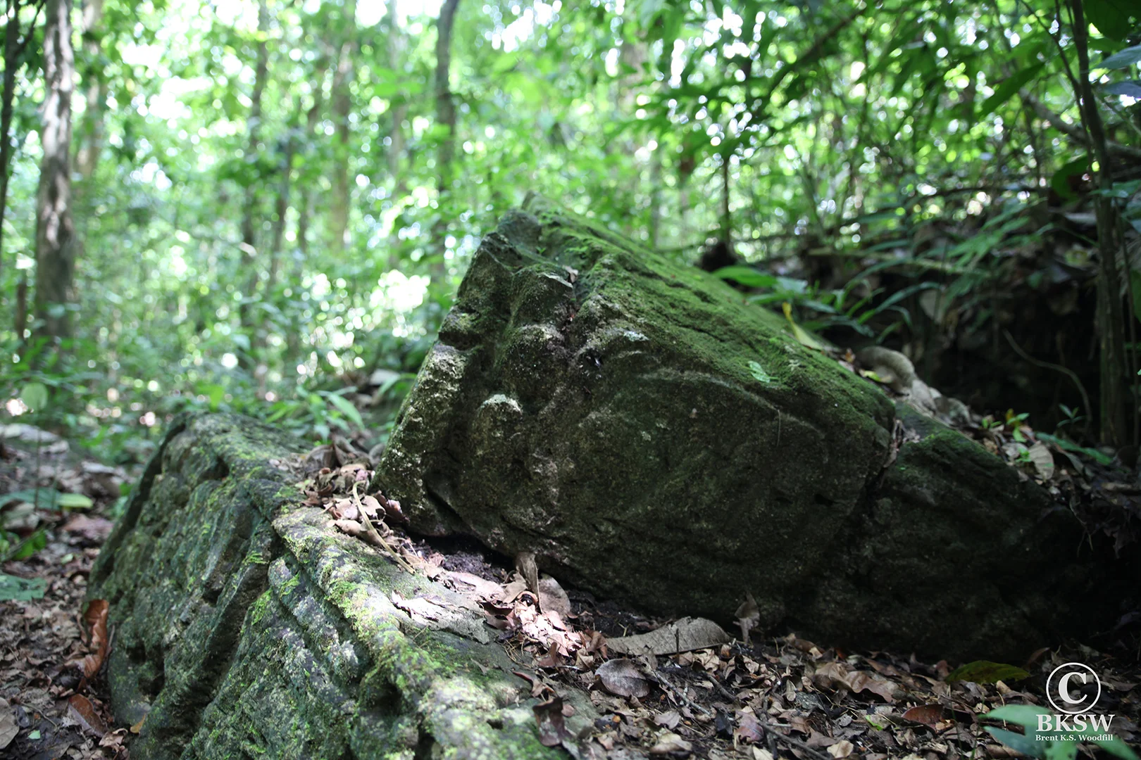 Hieroglyphic steps in the jungle