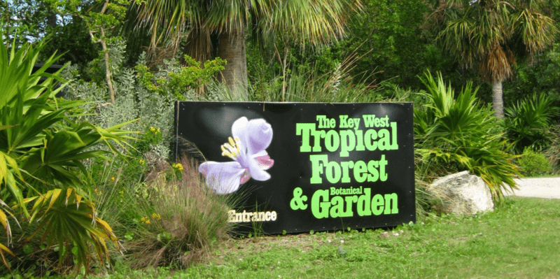 Tropical Forest Botanical Garden