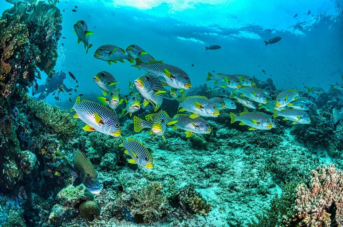 Unique Things to Do in Key West