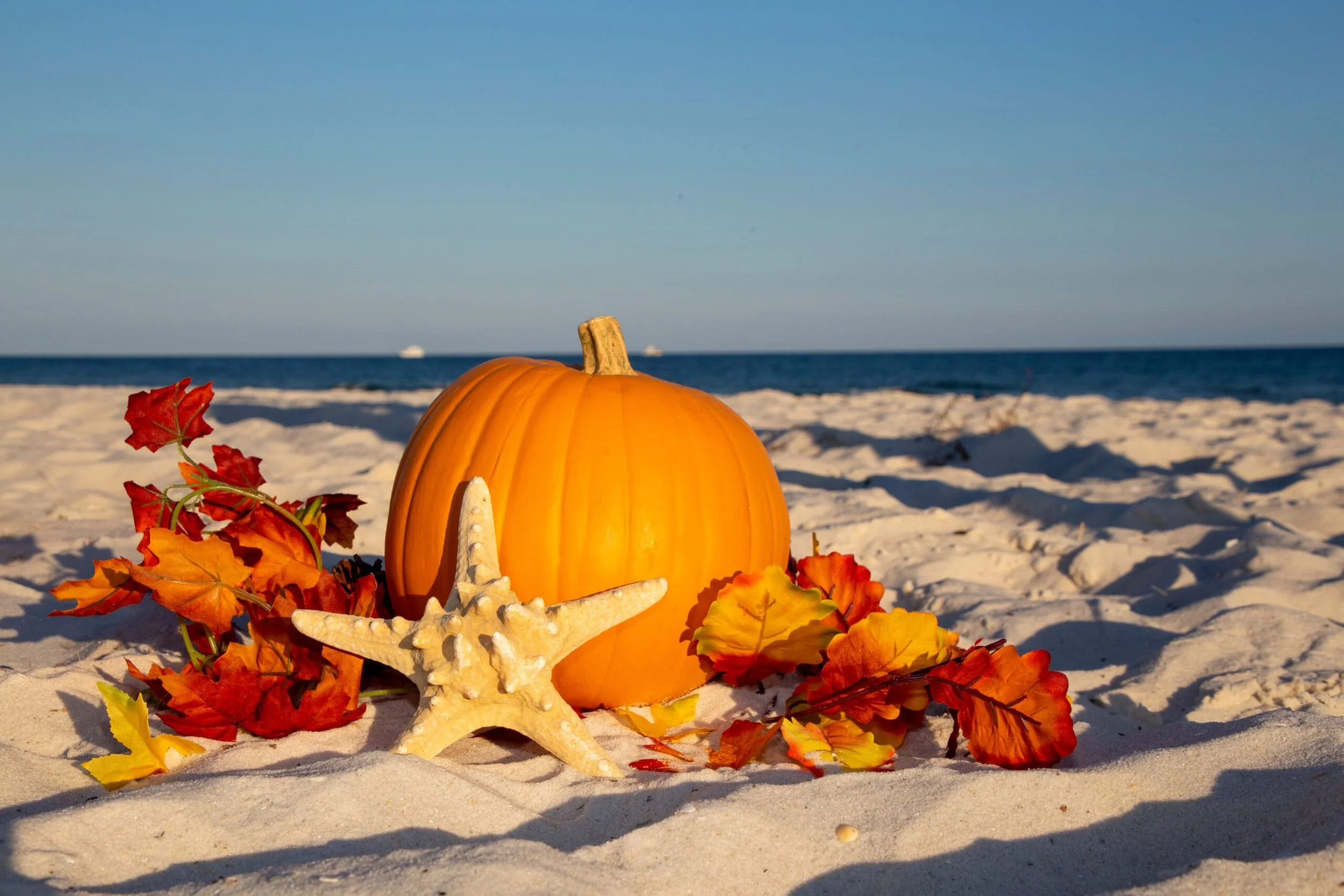 The Holiday You Actually Deserve