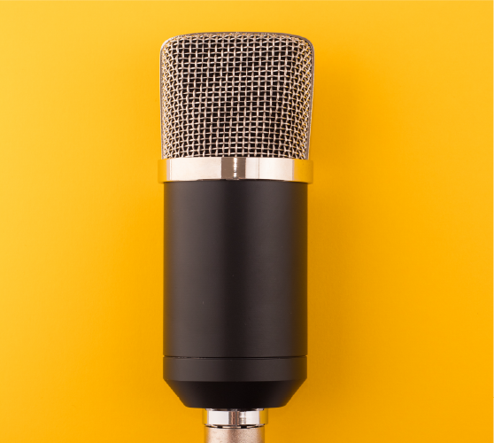 celle-rolon-vice-president-public-relations-toastmasters.png