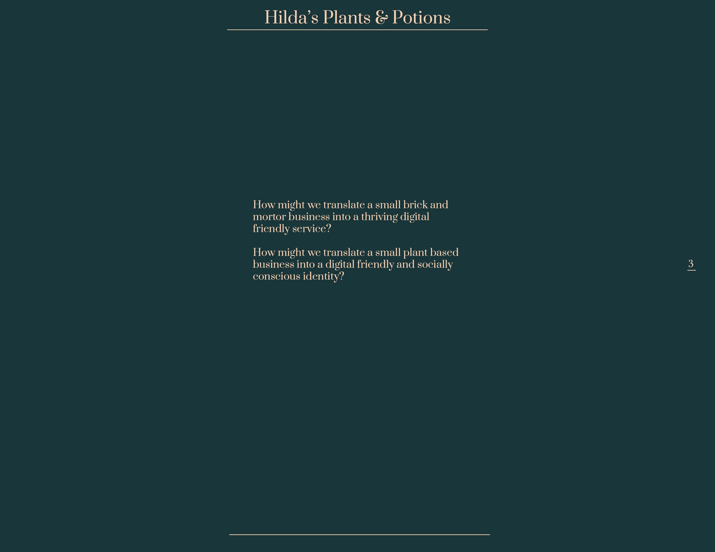 Hilda'sPlantsandPotions_BrandBooklet3.jpg