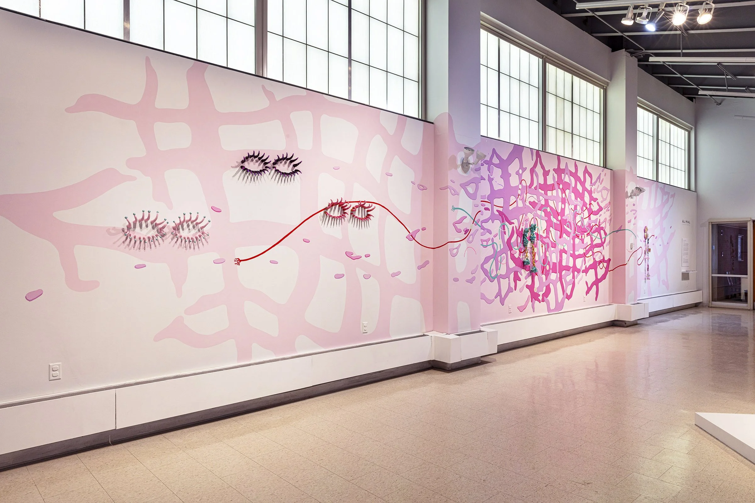 Attention Seekers1.jpg