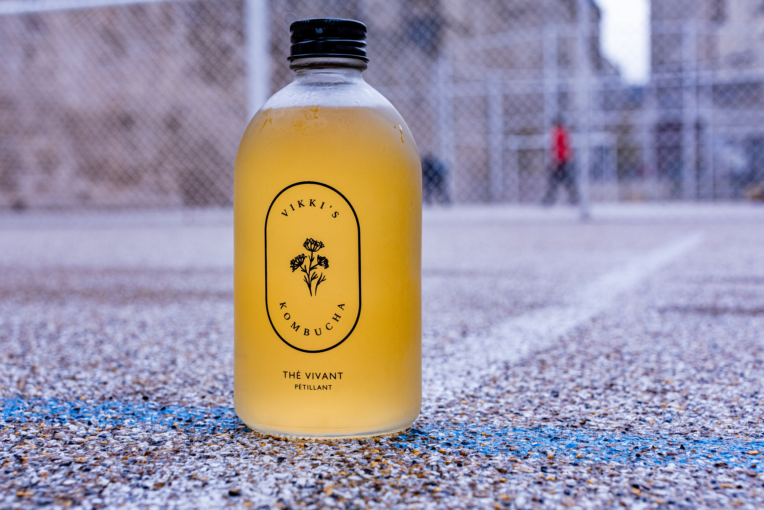 Kombucha 6-pack