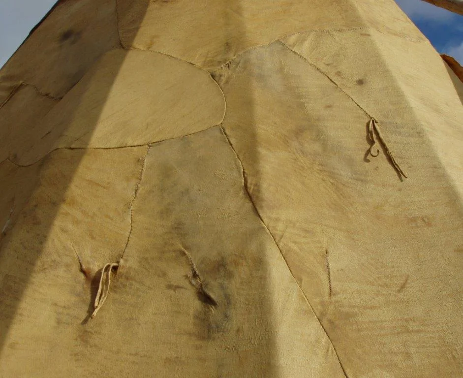 Tipi side - buffalo hides sewn together with sinew