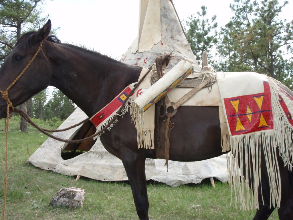 This is one of our Indian-type horse by my hide tipi.