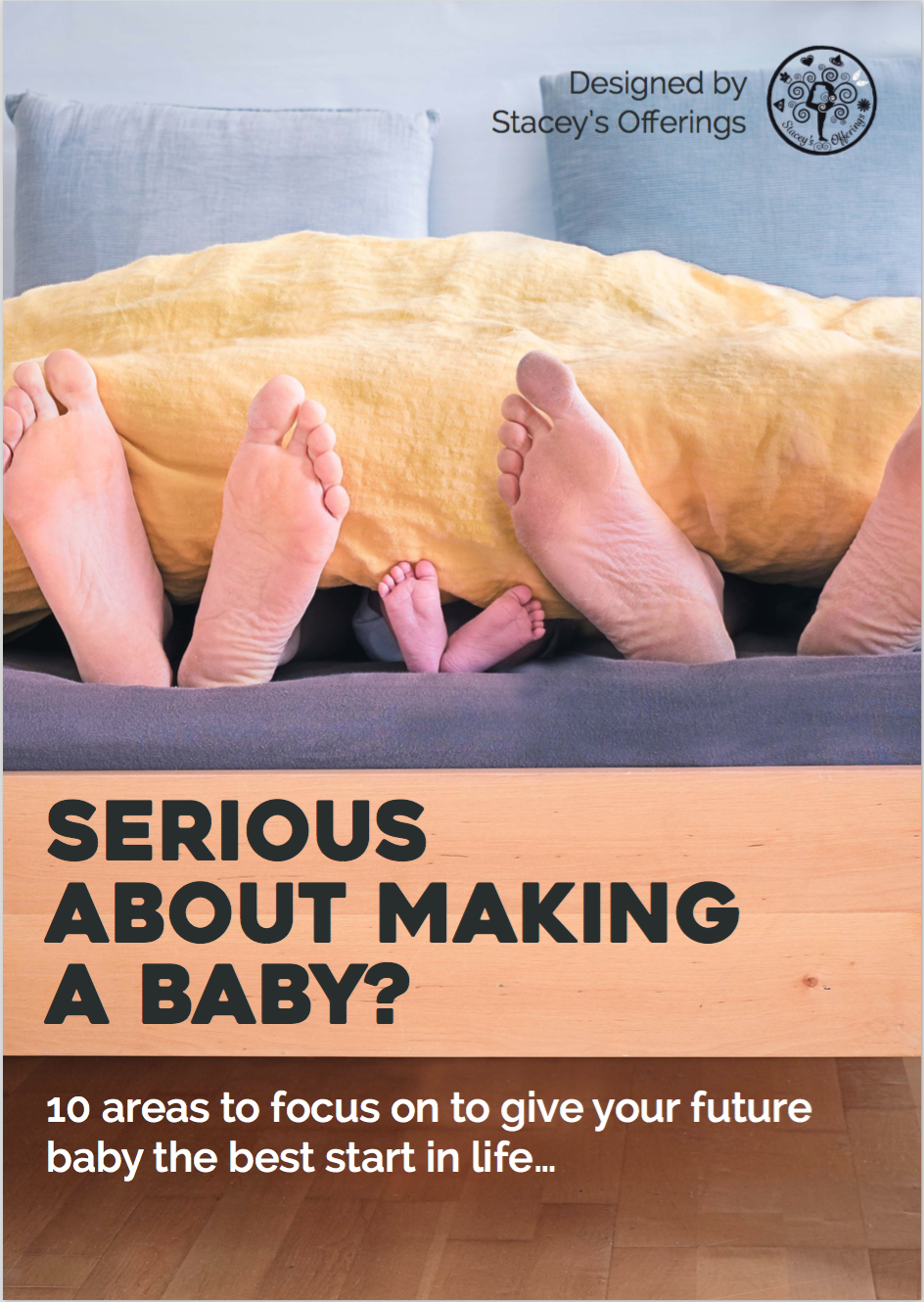 Baby Making eBook cover.png