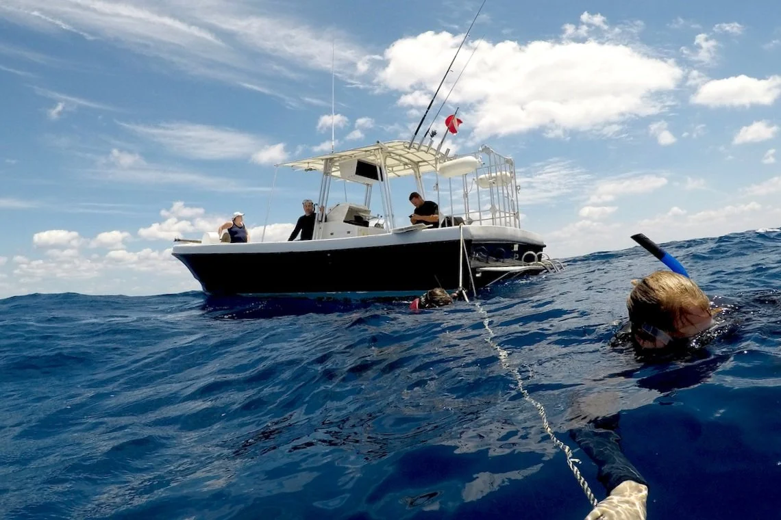   This Guy Gets Paid to Swim With Sharks (It’s Not as Scary as It Sounds)   Bryce Rohrer, owner of Florida Shark Diving, captains his boat as swimmers observe sharks beneath the surface. 