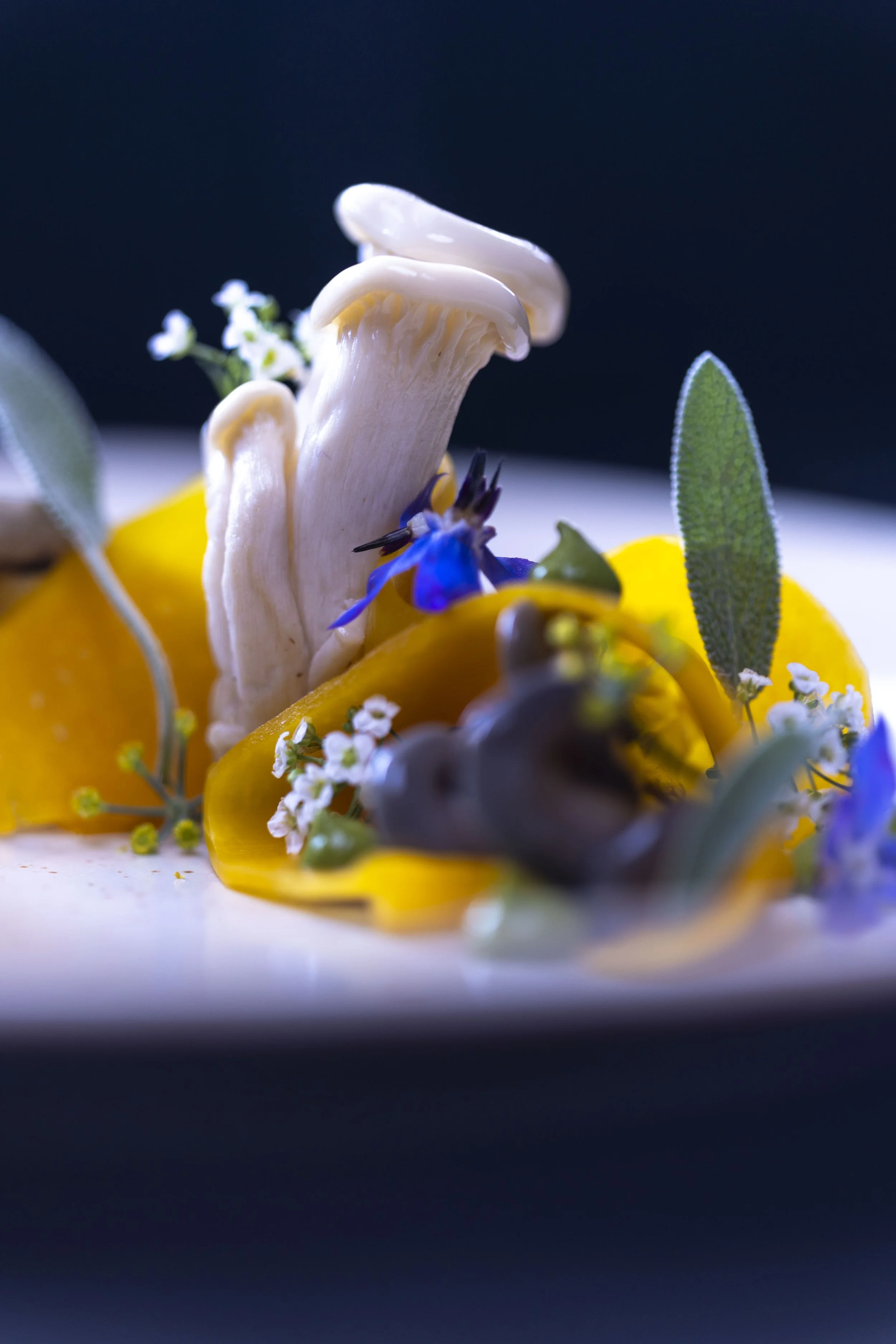 ZLe Pithivier aux champignons.011.jpg