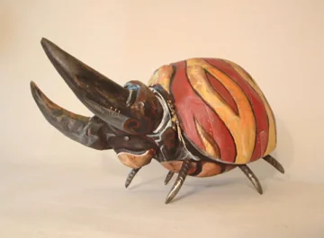 africanbullbeatle01.jpg