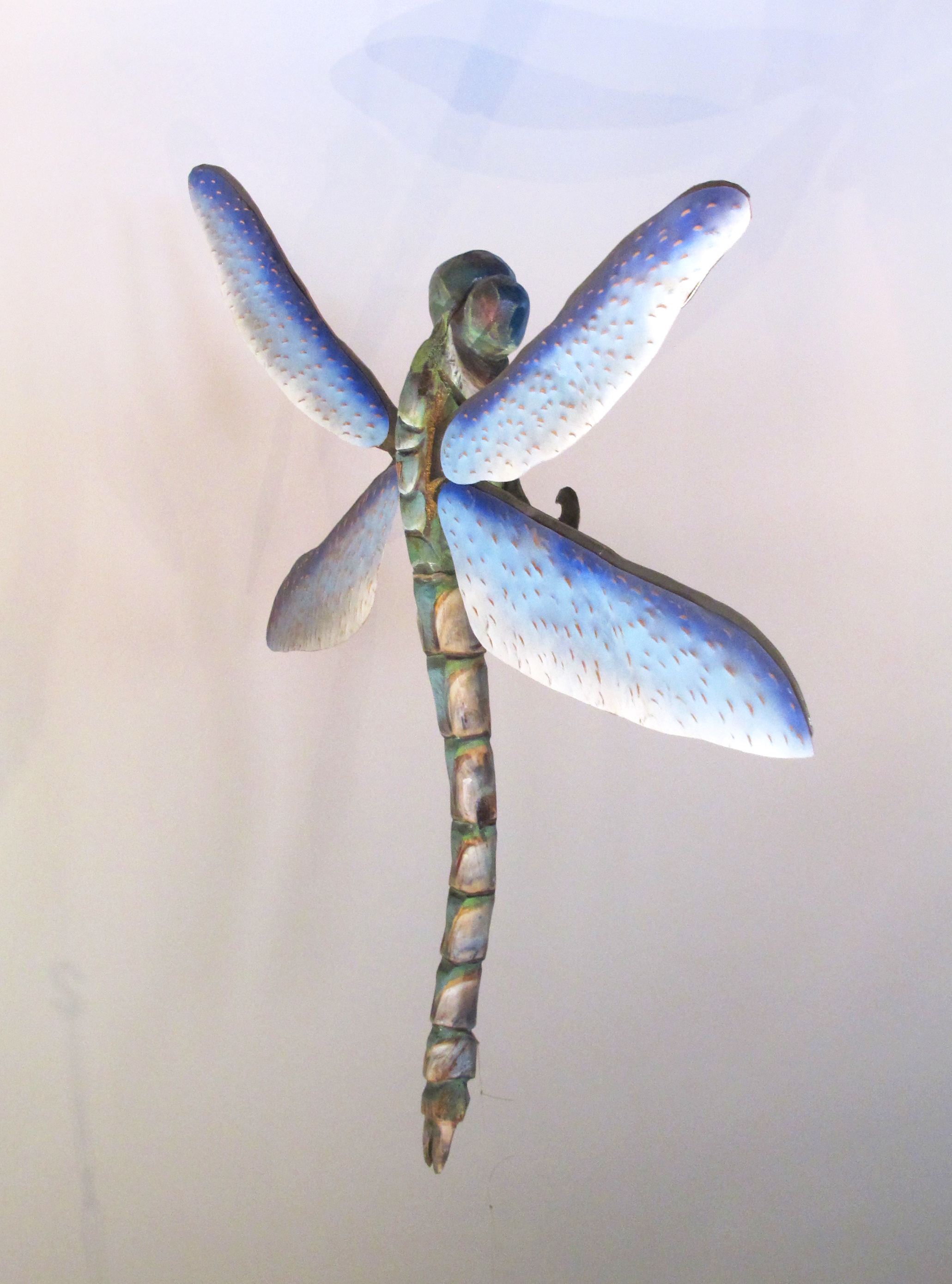 bluewing dragonfly-03.jpg