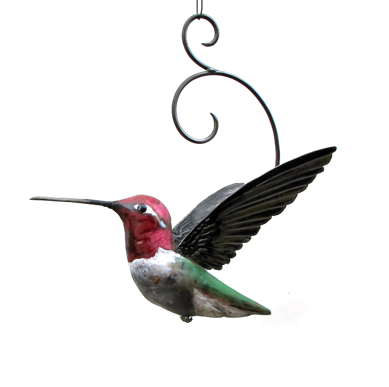 Anna's color hummingbird1-01.jpg