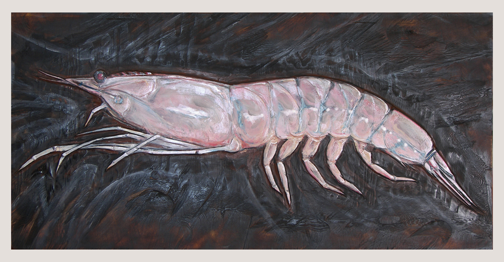 darkwatershrimp.jpg