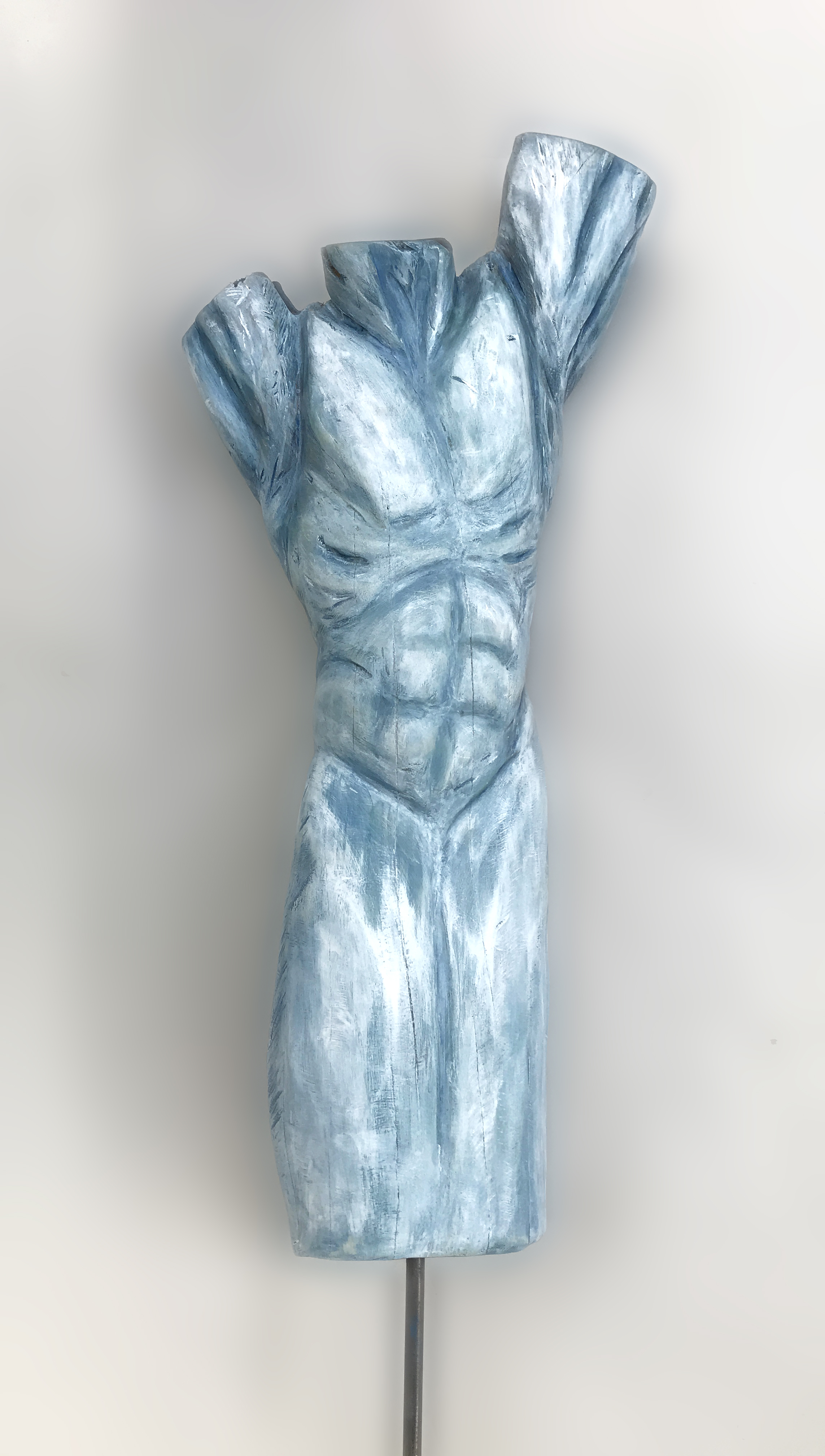 Pale blue torso-01.jpg