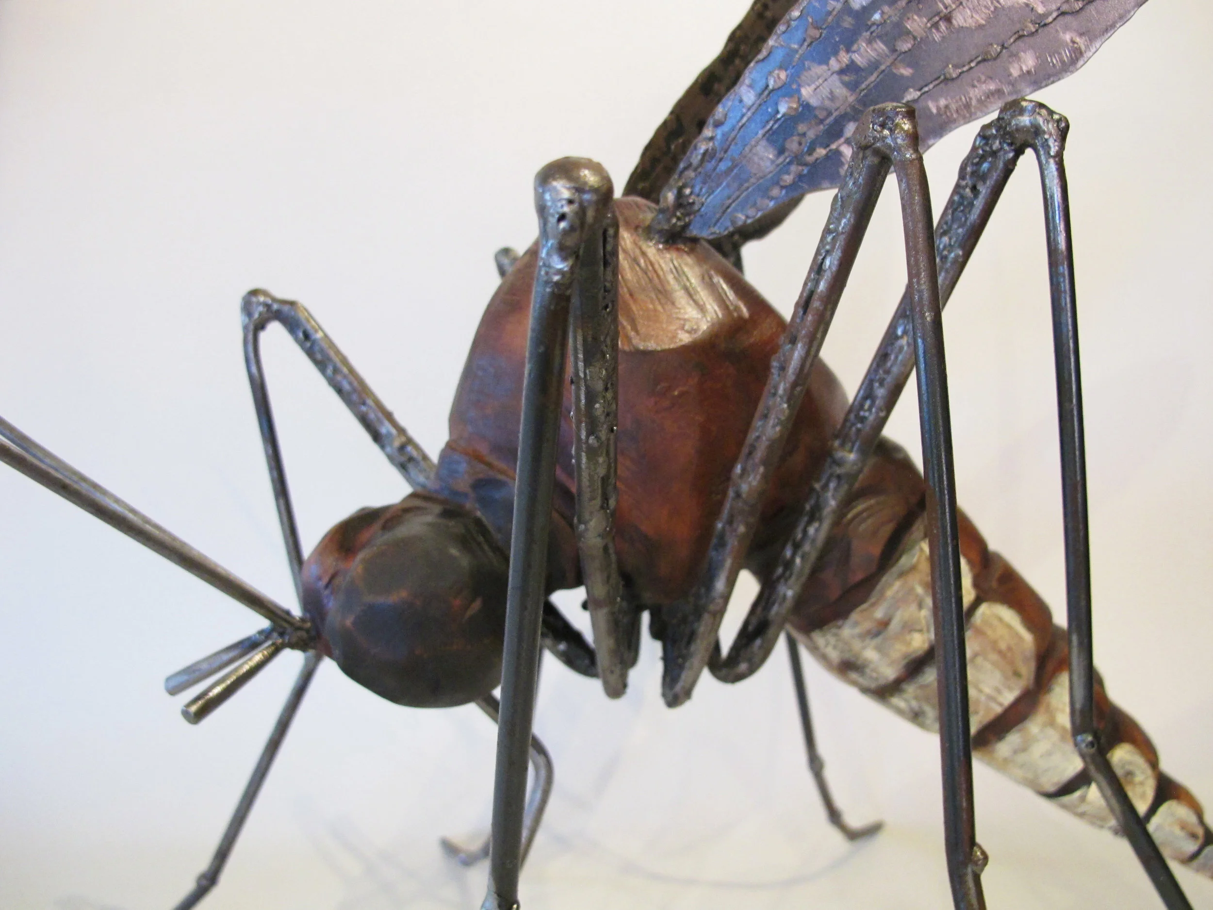 Mosquito3-08.jpg