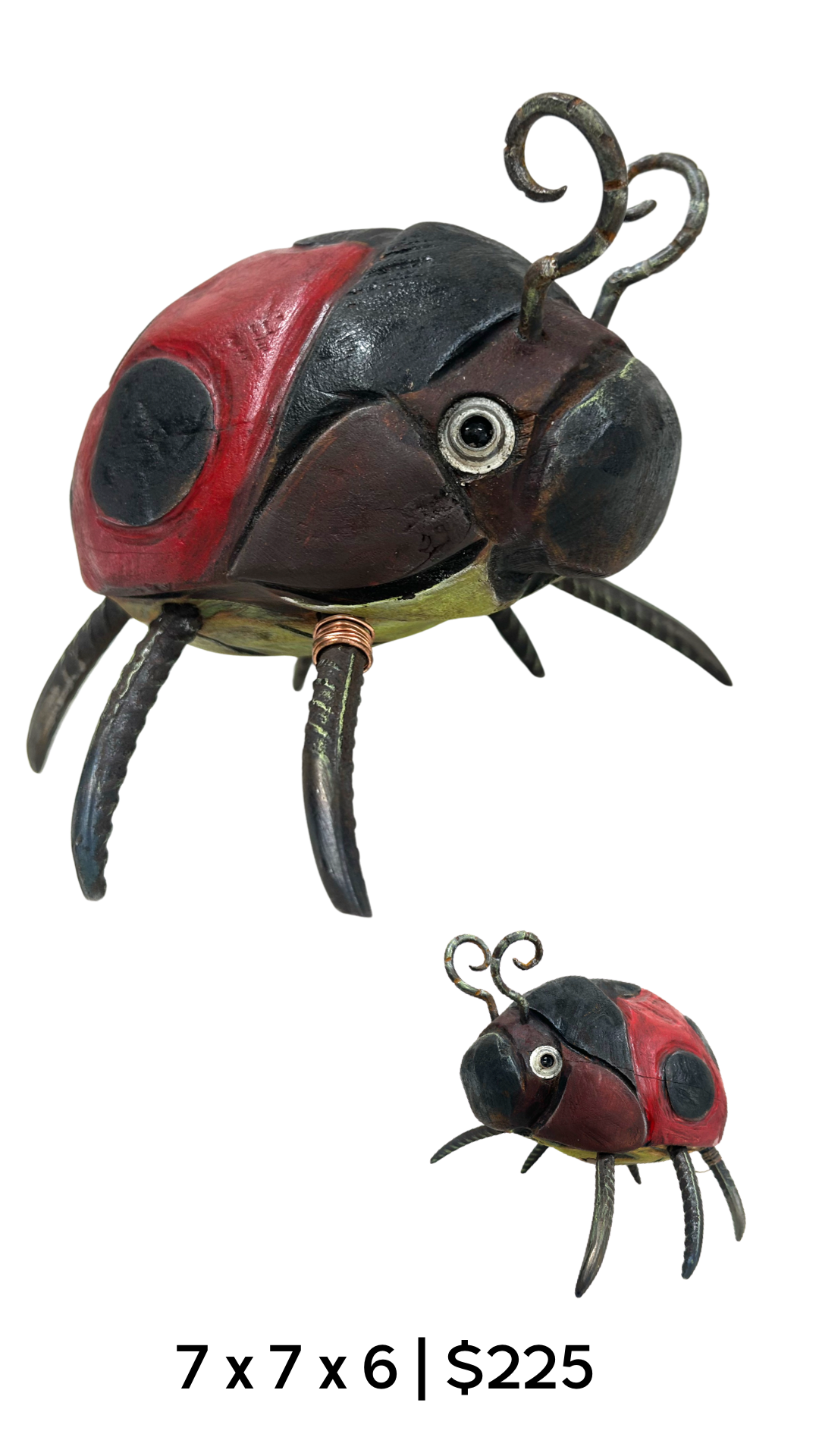 LADY BUG