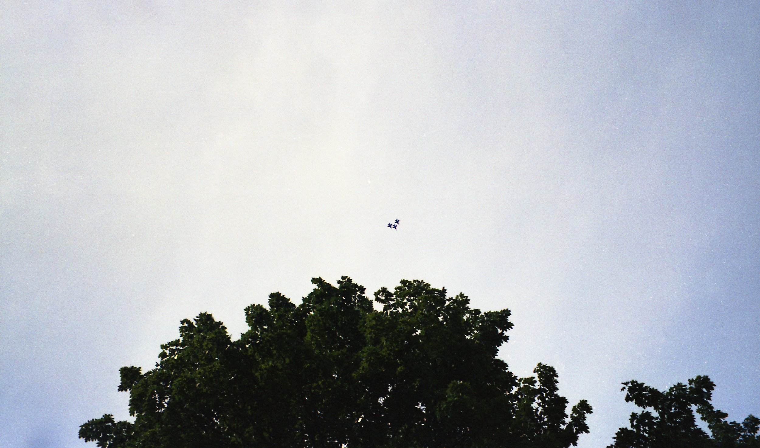 Yashica Microtec Zoom 70 Color Sample Image 6.jpg