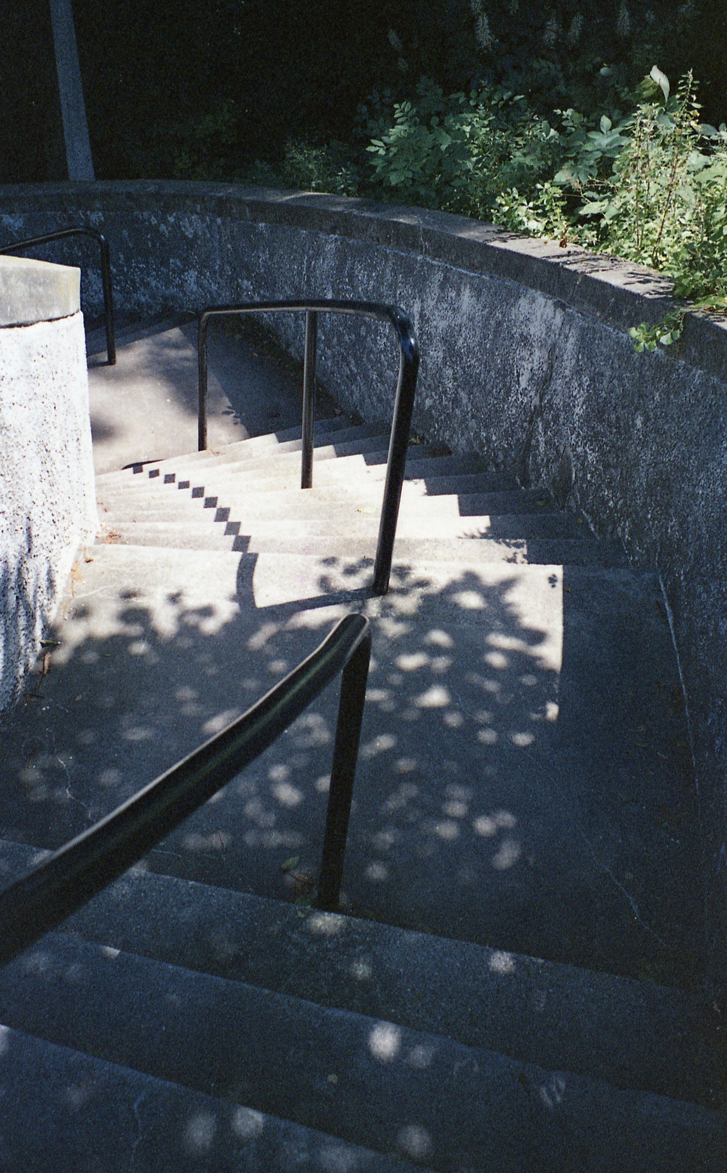 Yashica Microtec Zoom 70 Color Sample Image 7.jpg