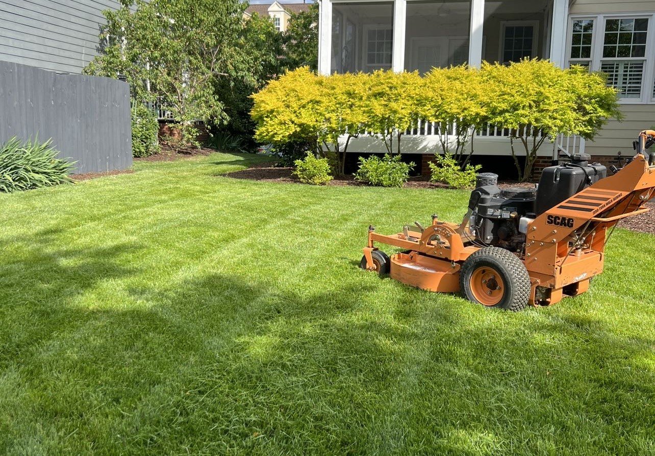 mower lines with scag.JPG