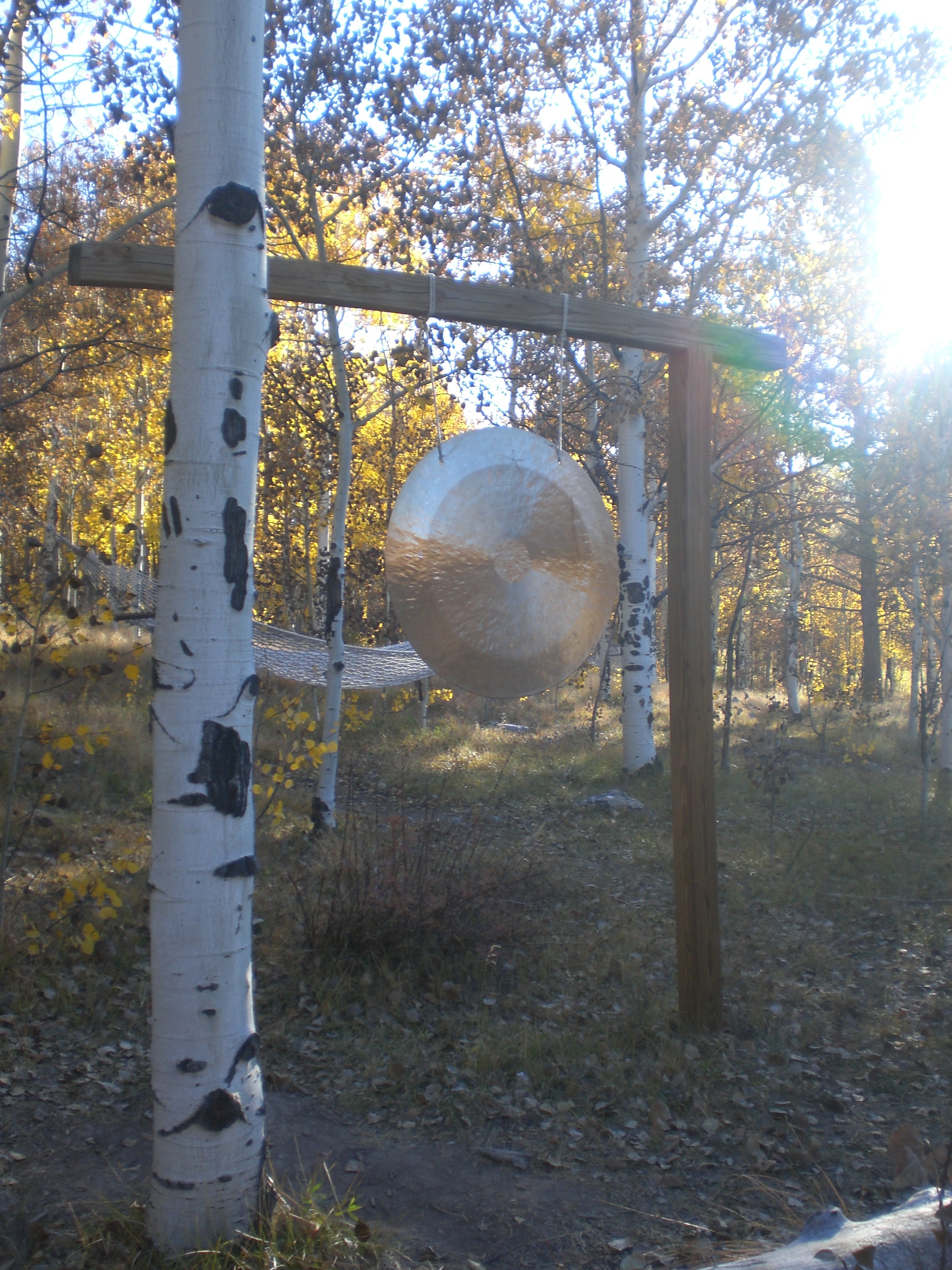 Gong in woods.JPG