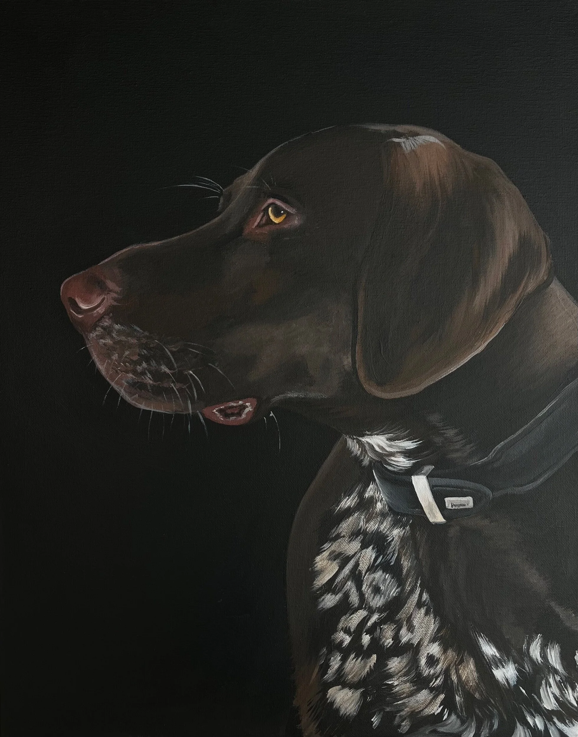 3955B5F3-55C8-4563-902C-A6AE88FDBFF1