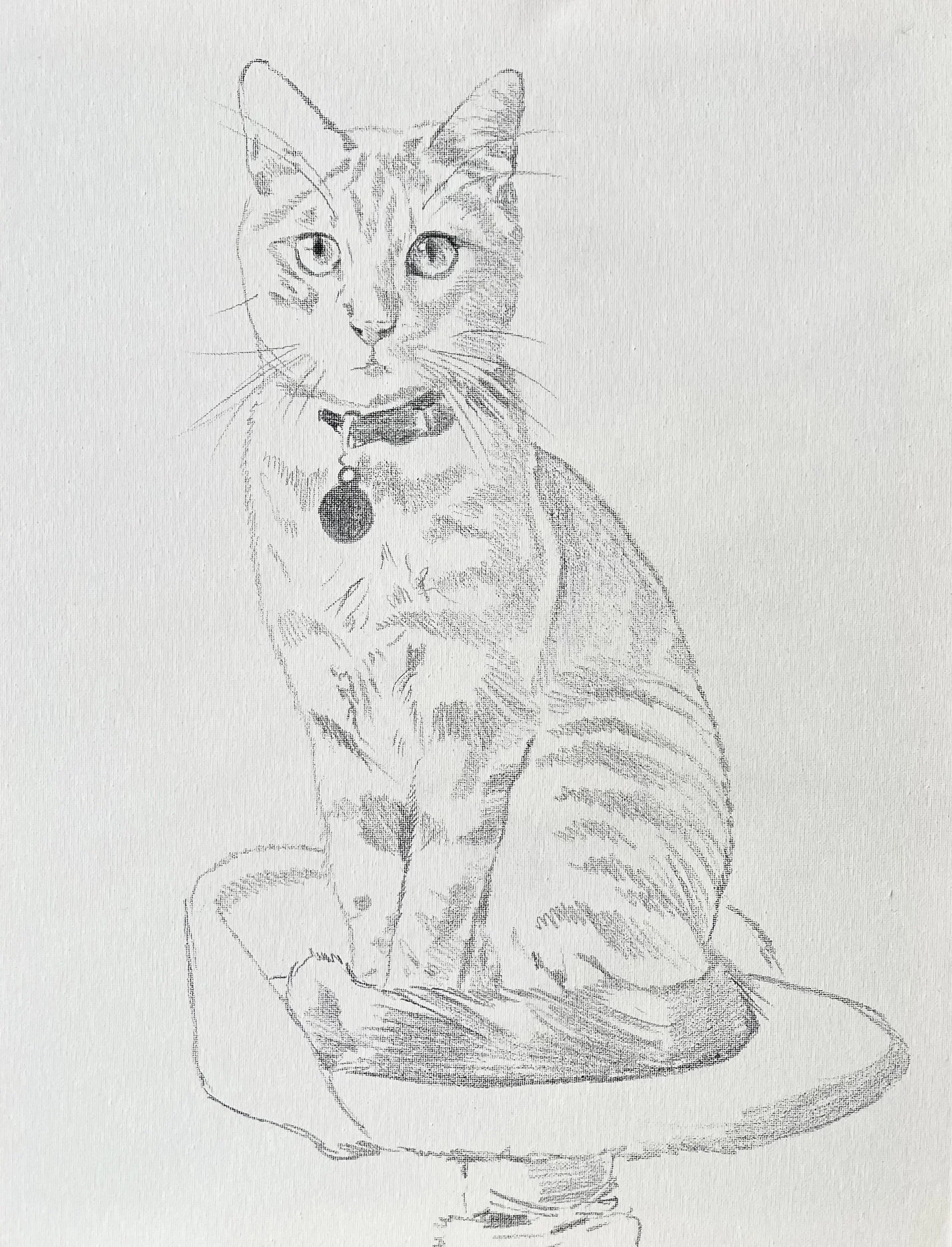 891C48A8-1B9D-4A72-9C36-AD786FE718B3