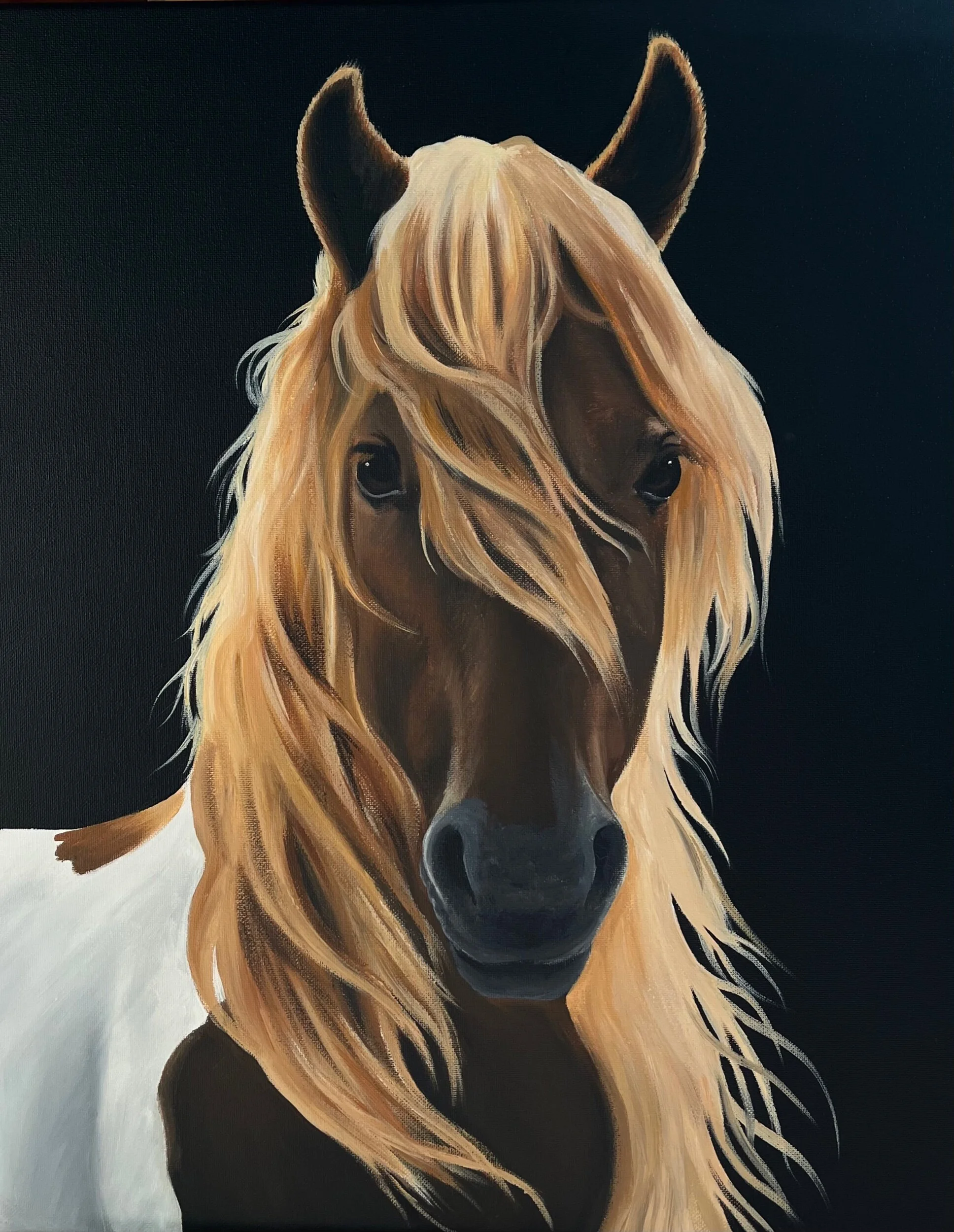 049FA87E-E10D-464F-8C36-1E1ABFCFC419