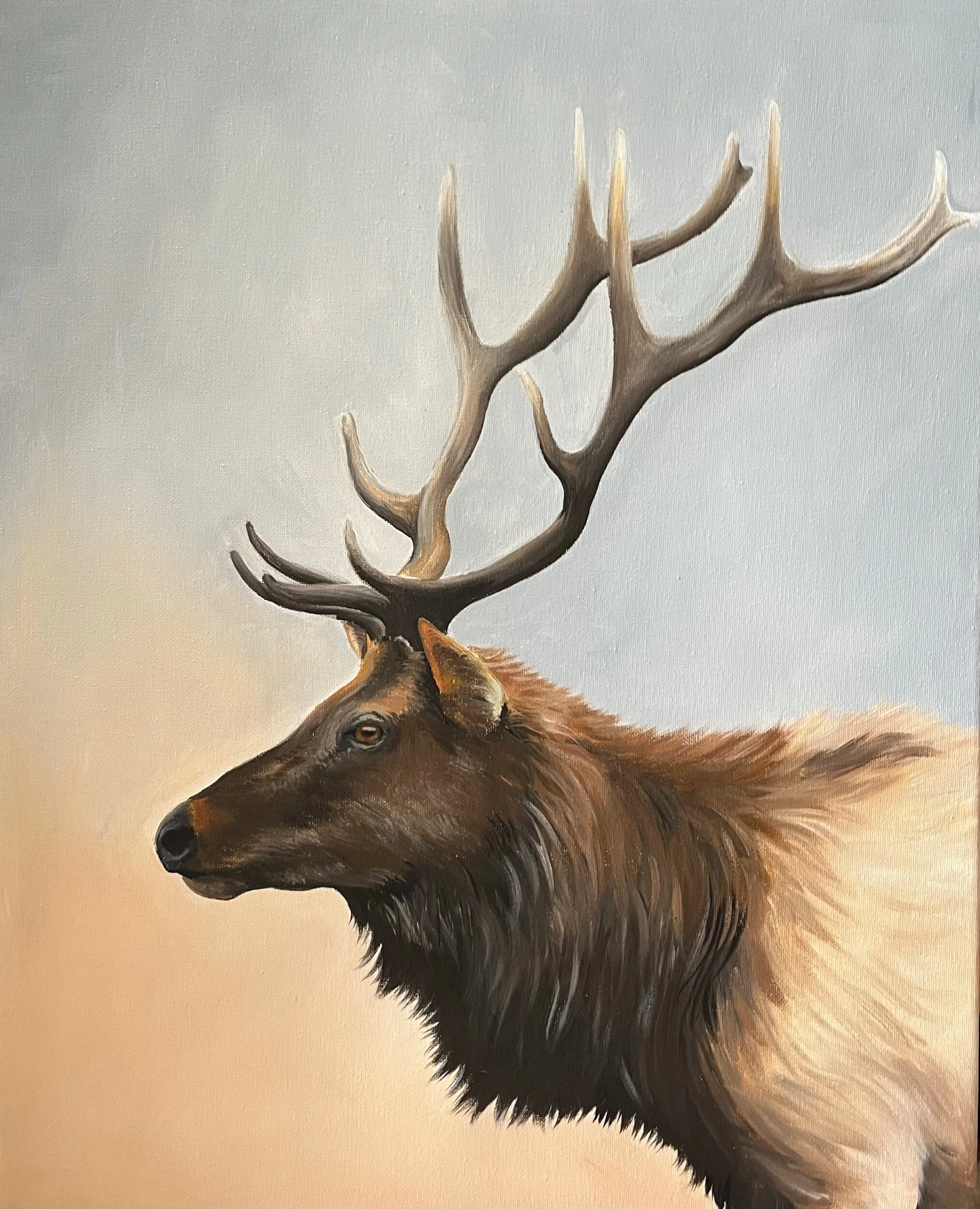 F13AA209-AE65-405C-A971-82C92CE2A9B9