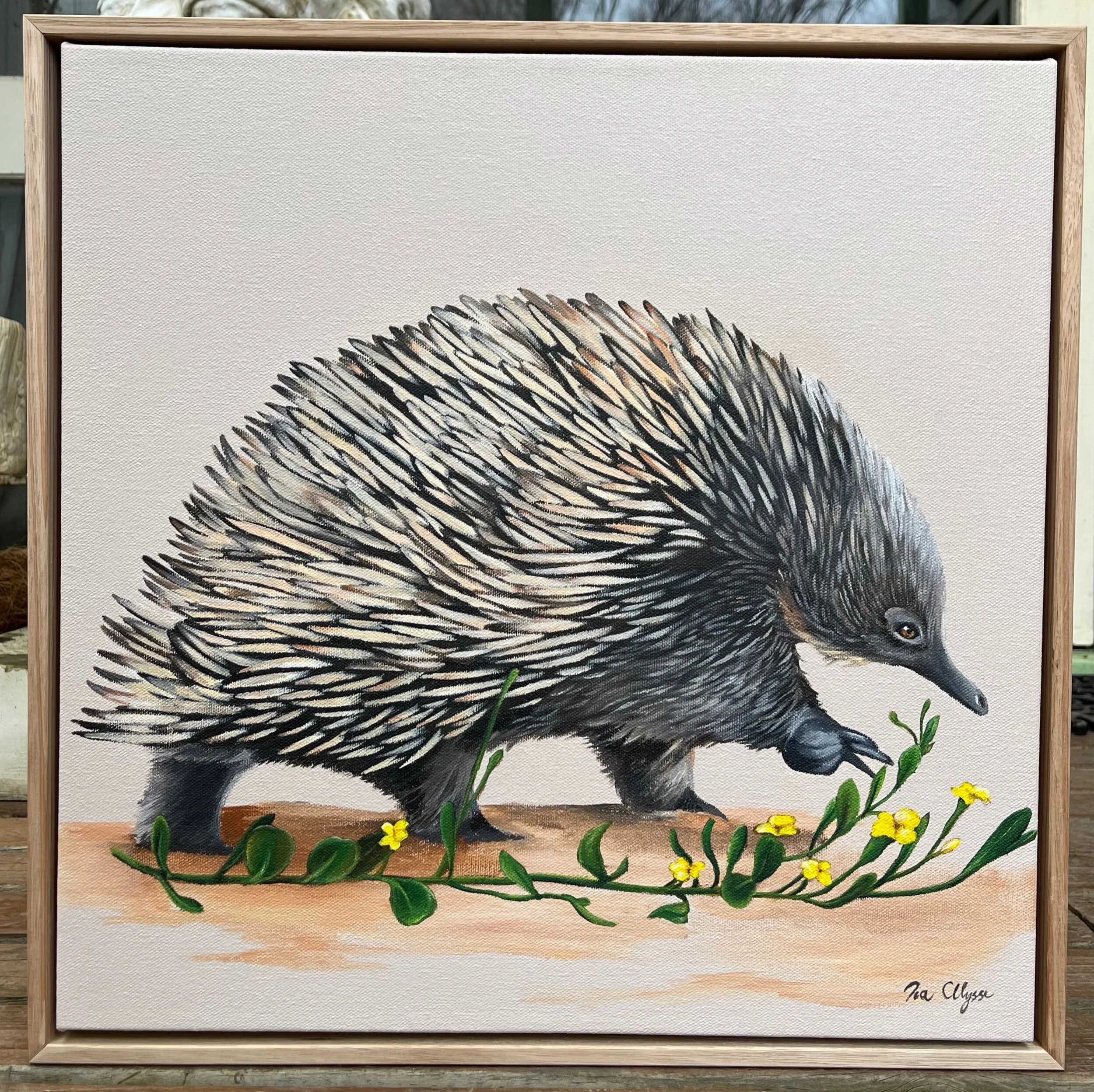 D9640DF6-7A96-446B-96C2-DC544A935E51