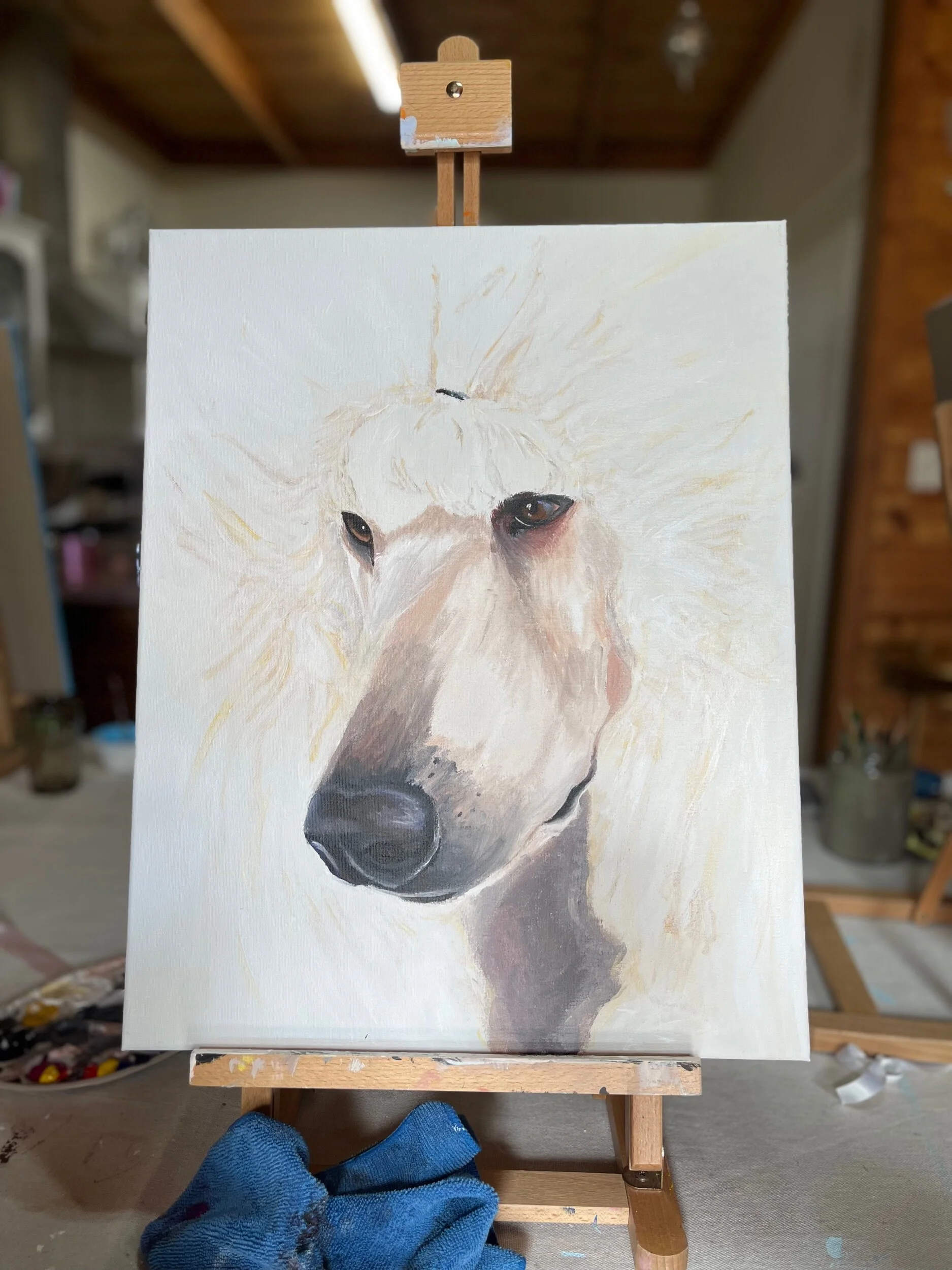 E2B95150-7045-42E4-B5B2-9FFEC12CF0E6