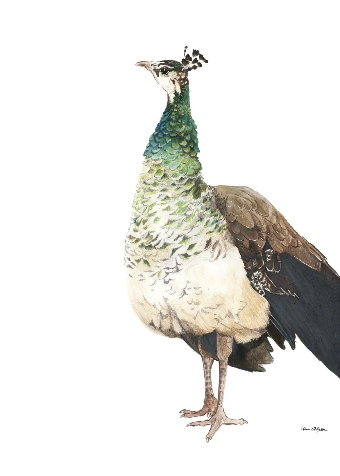 A20D4328-7CB8-4813-86D7-6C66A6DC45F0